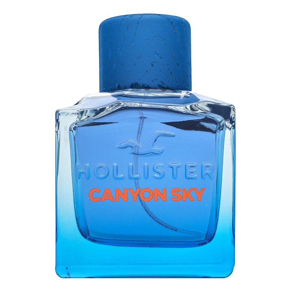 Hollister Canyon Sky For Him EDT M 100 ml – Hollister