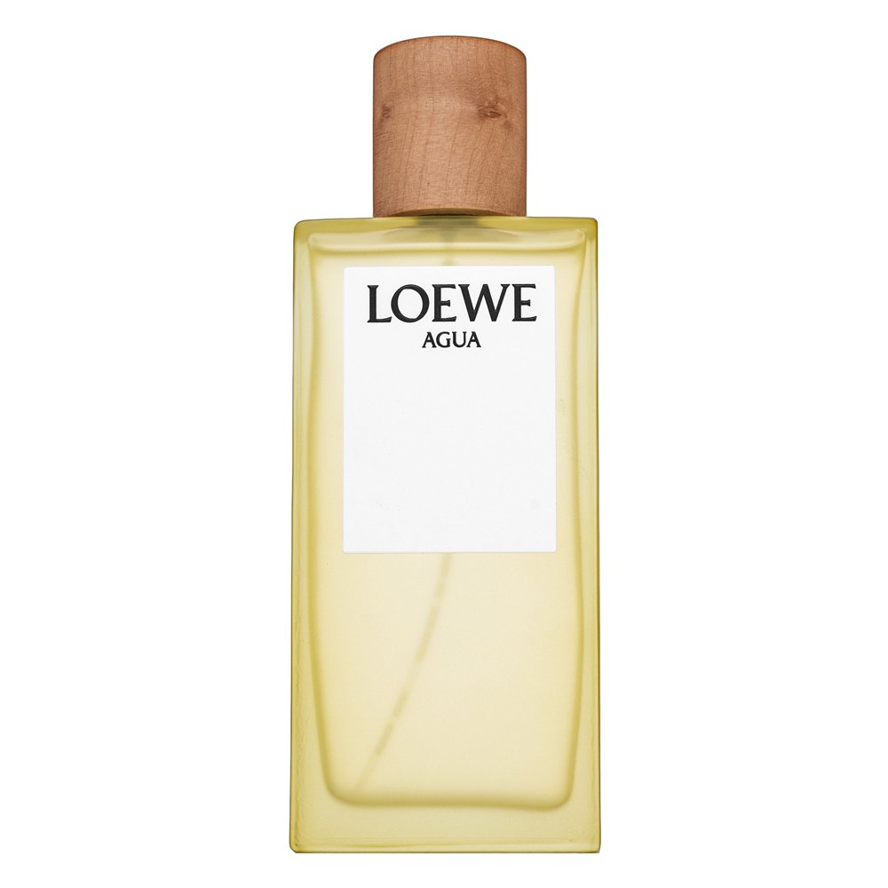 Loewe Agua de Loewe EDT U 100 ml – Loewe