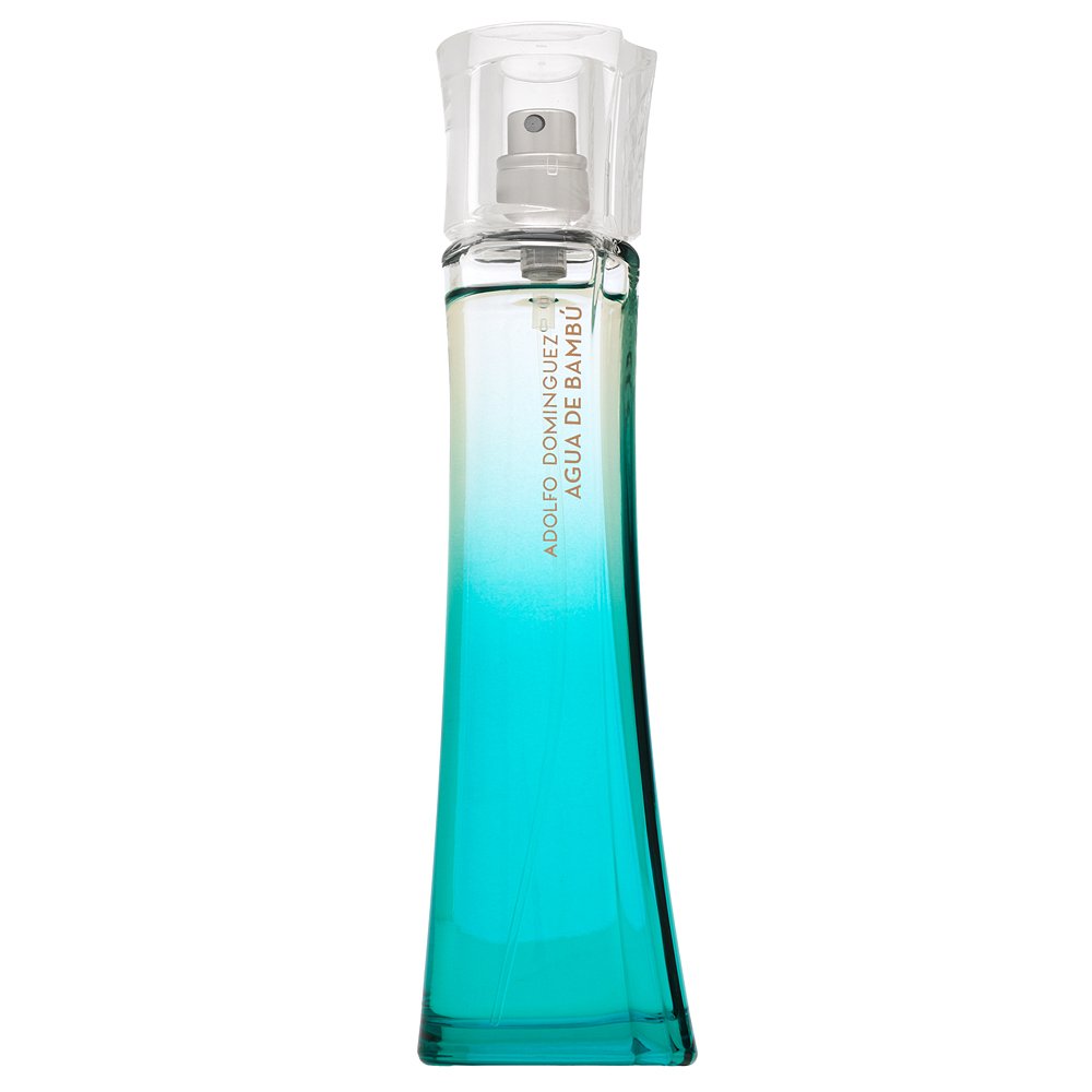 Adolfo Dominguez Agua de Bambu EDT W 100 ml – Adolfo Dominguez