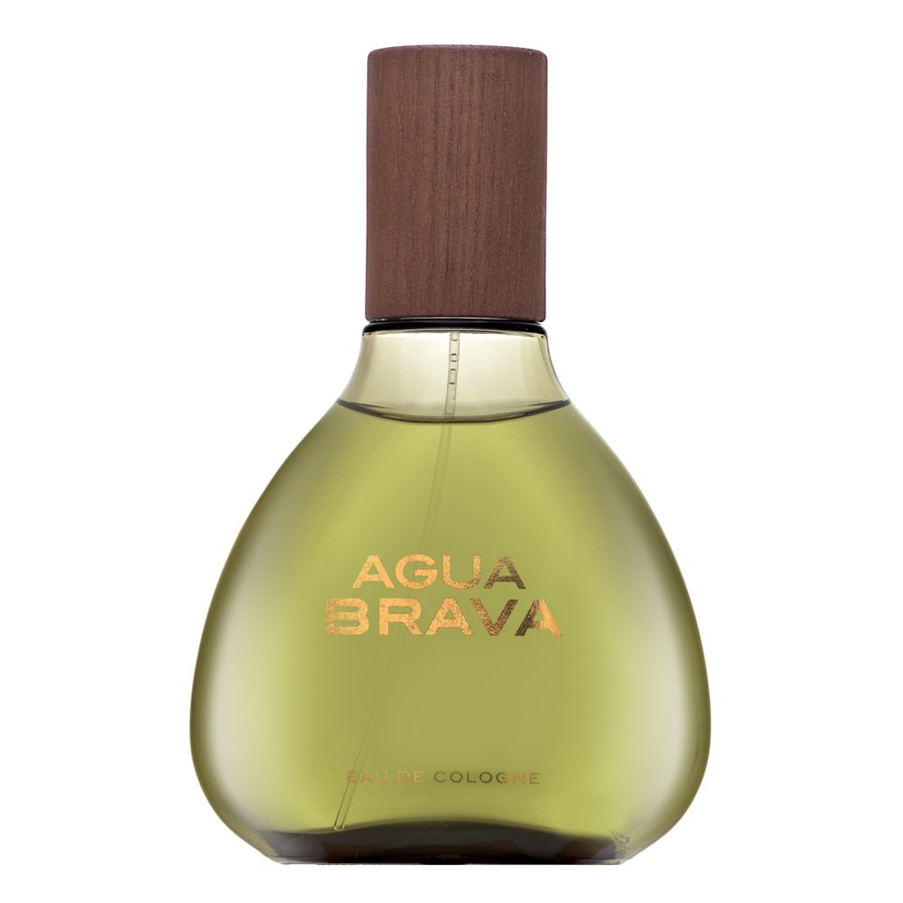 Antonio Puig Agua Brava EDC M 100 ml – Antonio Puig