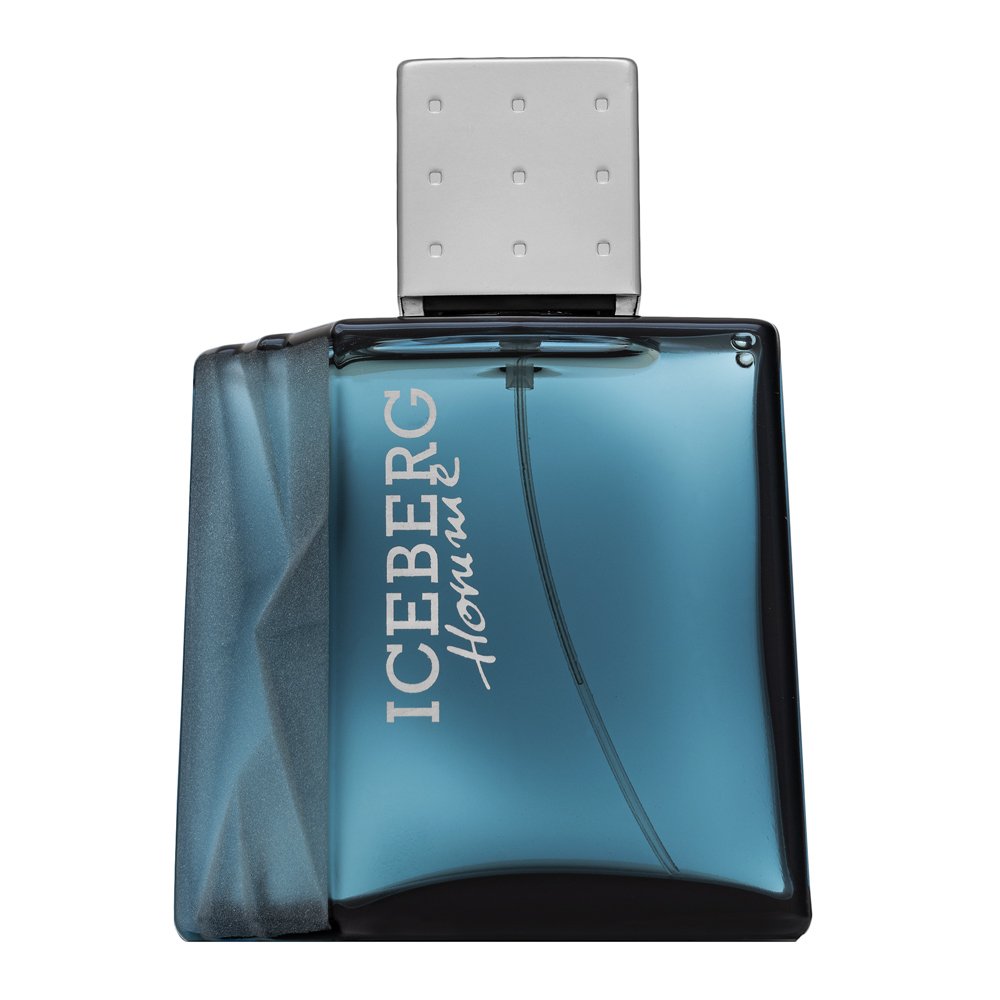 Iceberg Iceberg Homme EDT M 100 ml – Iceberg
