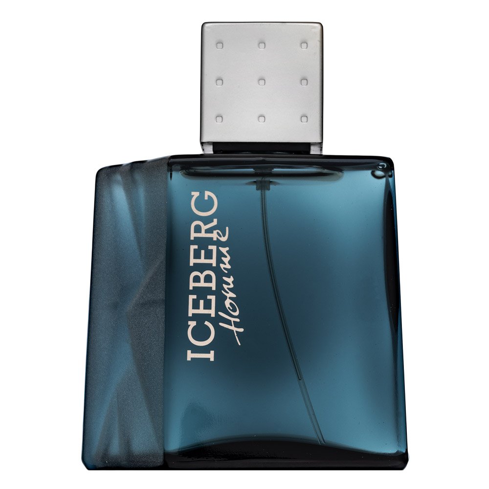 Iceberg Homme EDT M 100 ml – Iceberg