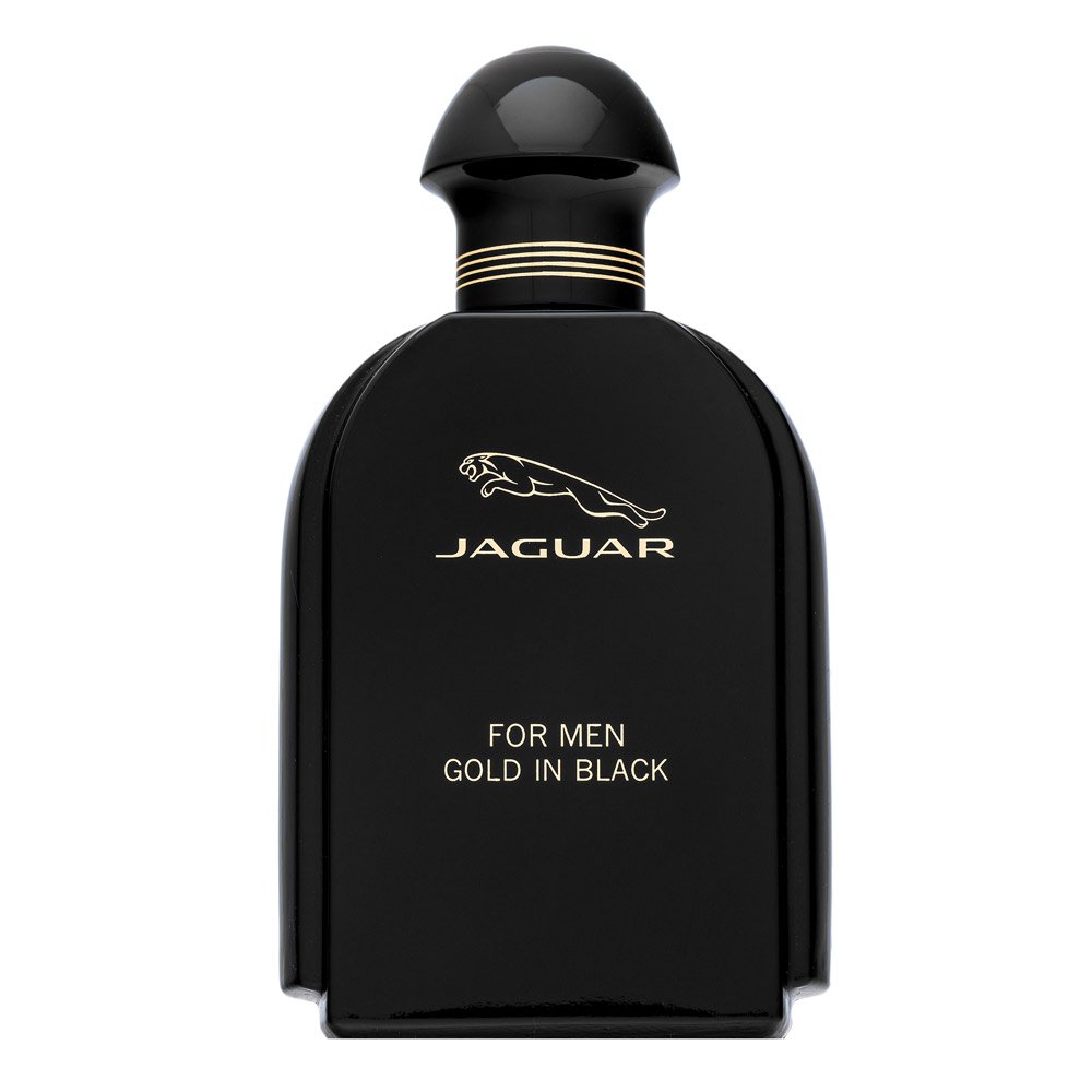 Jaguar For Men Gold in Black EDT M 100 ml – Jaguar