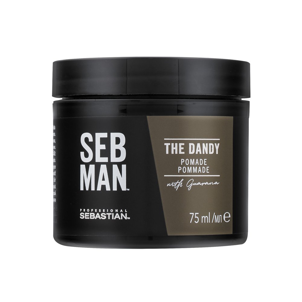 Sebastian Professional Man The Dandy Shiny Pommade 75 ml – Sebastian Professional