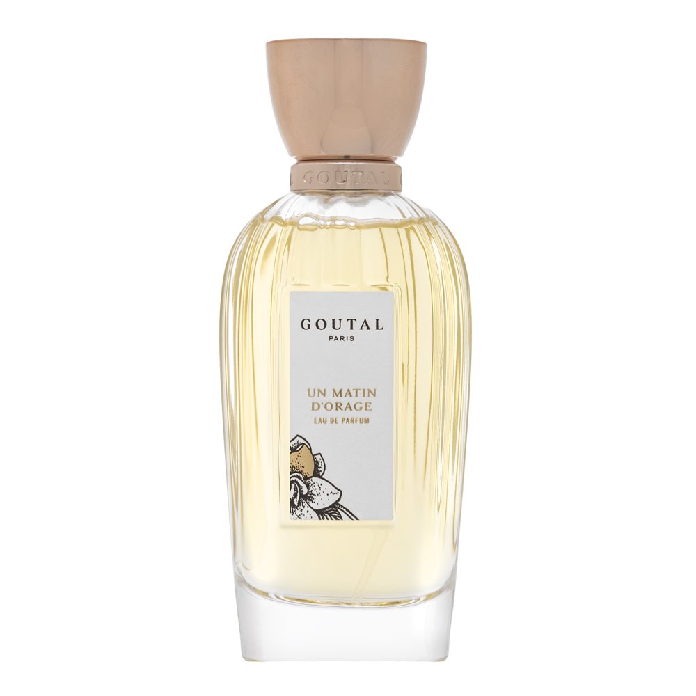 Annick Goutal Un Matin D'Orage EDP W 100 ml – Annick Goutal