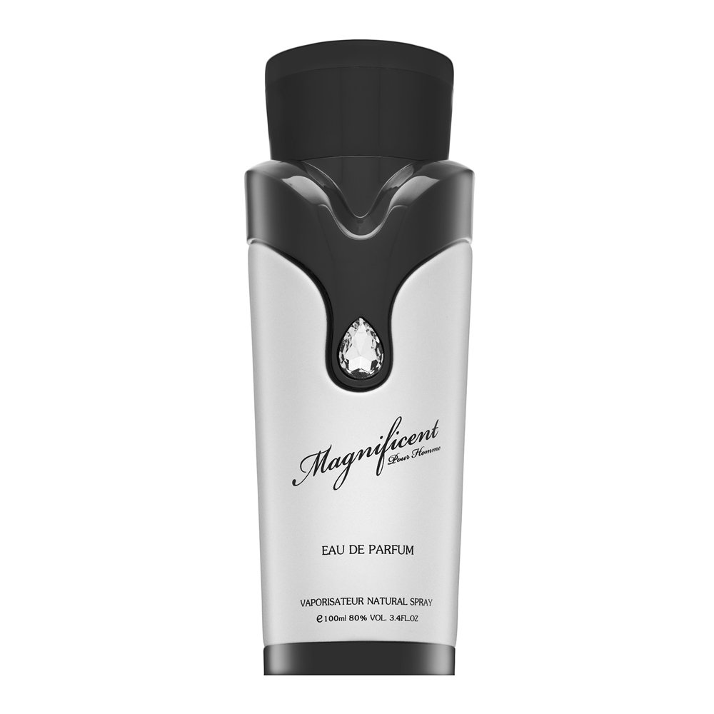 Armaf Magnificent Pour Homme EDP M 100 ml – Armaf