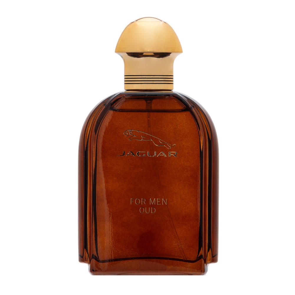Jaguar Oud For Men EDP M 100 ml – Jaguar