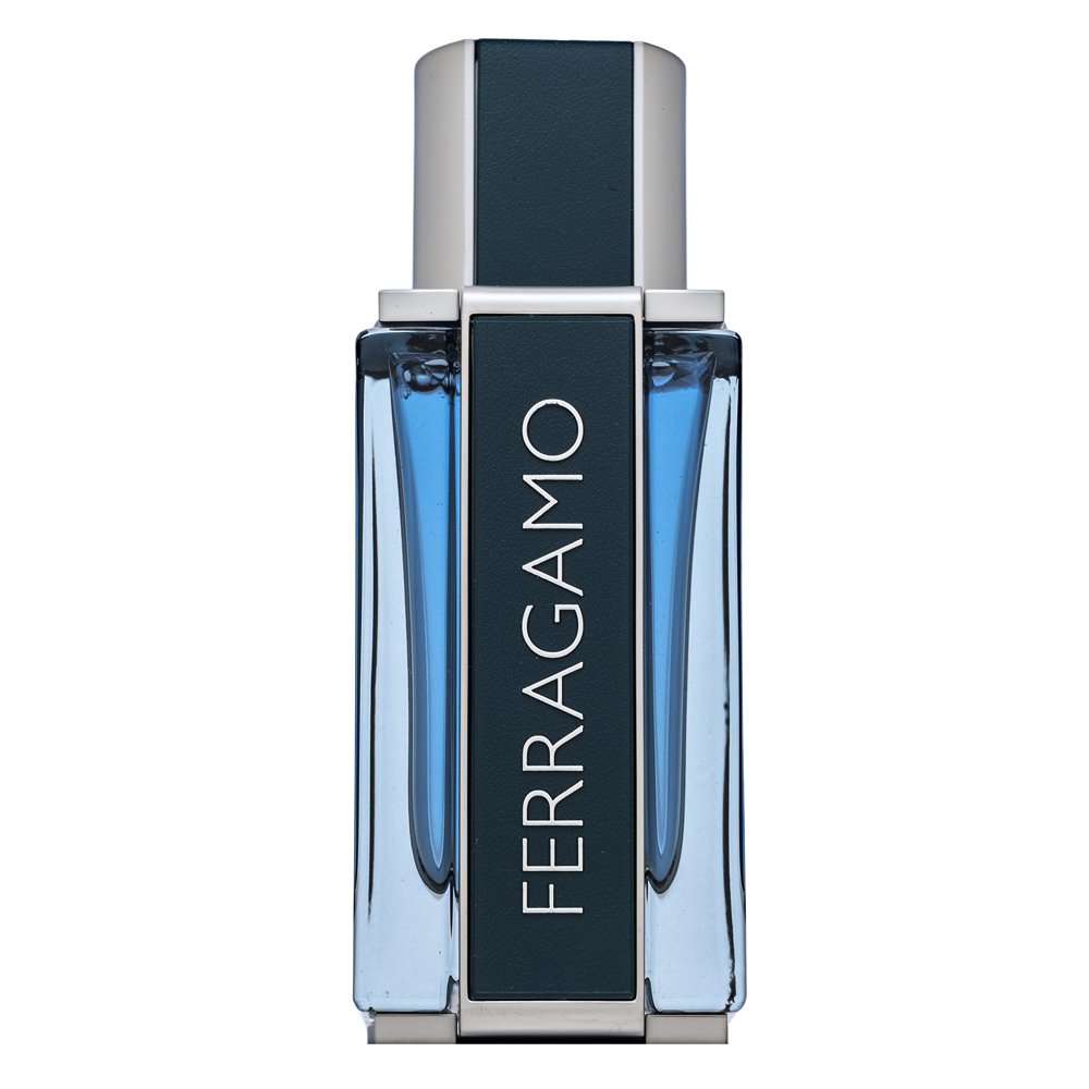 Salvatore Ferragamo Intense Leather EDP M 50 ml – Salvatore Ferragamo