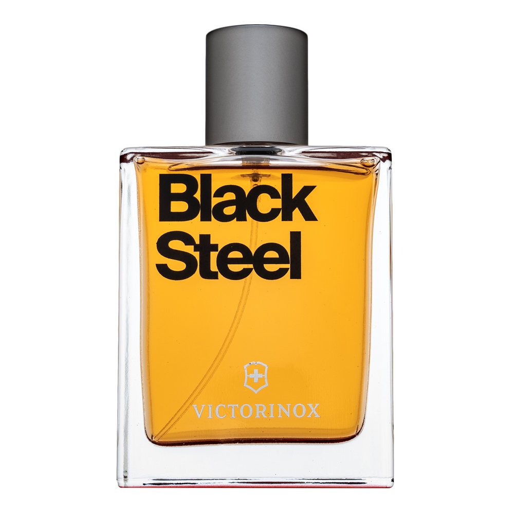 Swiss Army Black Steel EDT M 100 ml – Swiss Army