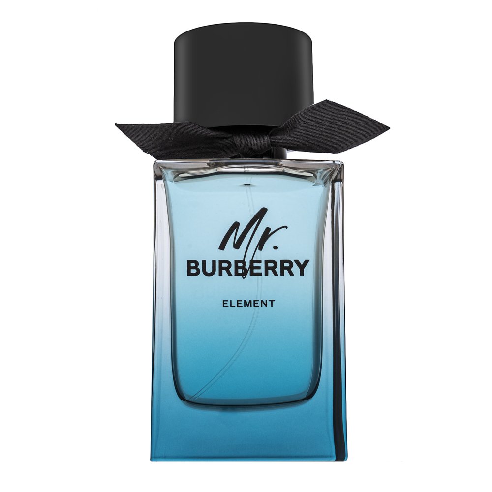 Burberry Mr. Burberry Element EDT M 150 ml – Burberry