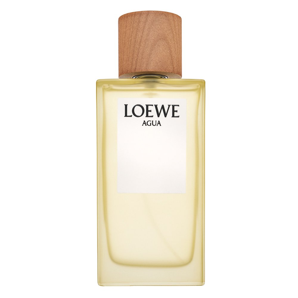 Loewe Agua de Loewe EDT U 150 ml – Loewe