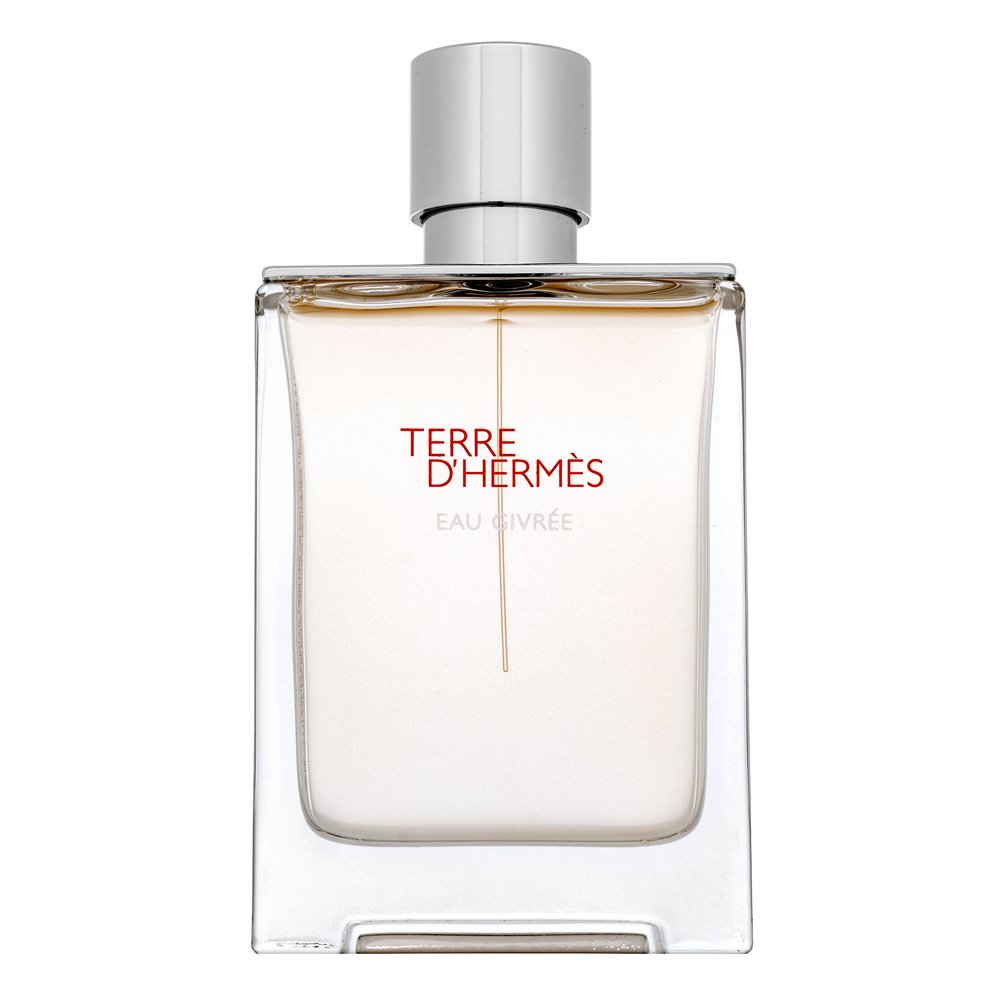 Hermès Terre d’Hermès Eau Givrée EDP - Refillable M 100 ml – Hermès