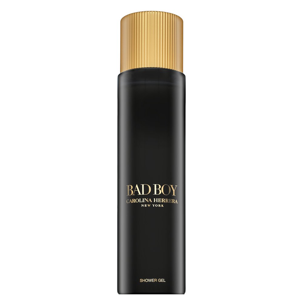 Carolina Herrera Bad Boy SWG M 200 ml – Carolina Herrera