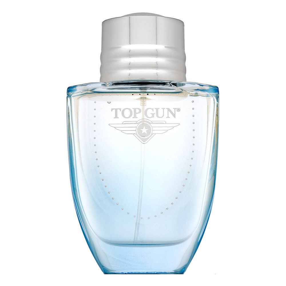 Top Gun Chevron EDT M 100 ml – Top Gun
