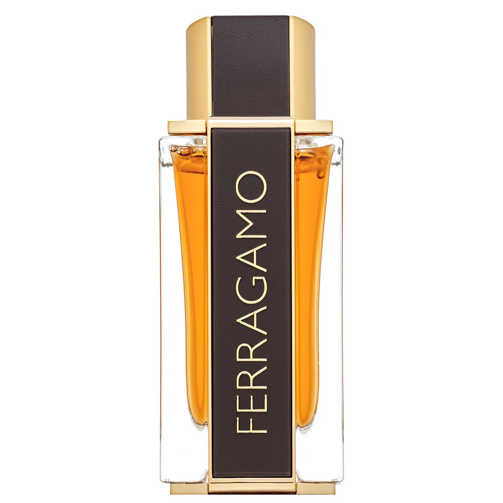 Salvatore Ferragamo Spicy Leather Special Edition EDP M 100 ml – Salvatore Ferragamo