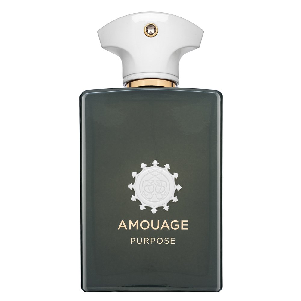 Amouage Purpose EDP U 100 ml – Amouage