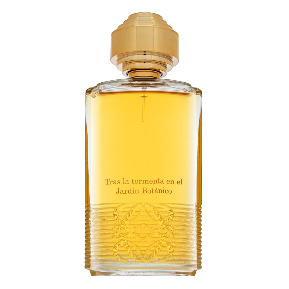 Loewe Tras La Tormenta Jardin Botanico EDP U 100 ml – Loewe