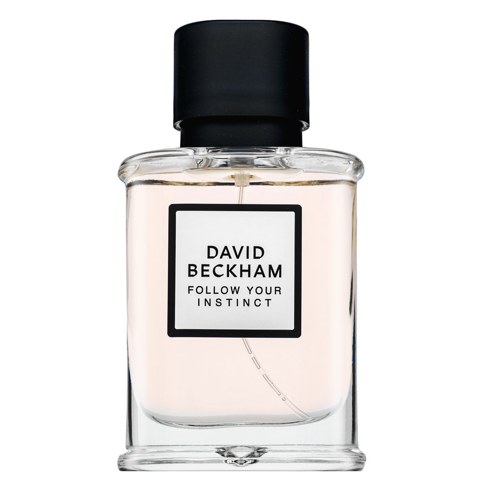 David Beckham Follow Your Instinct EDP M 50 ml – David Beckham