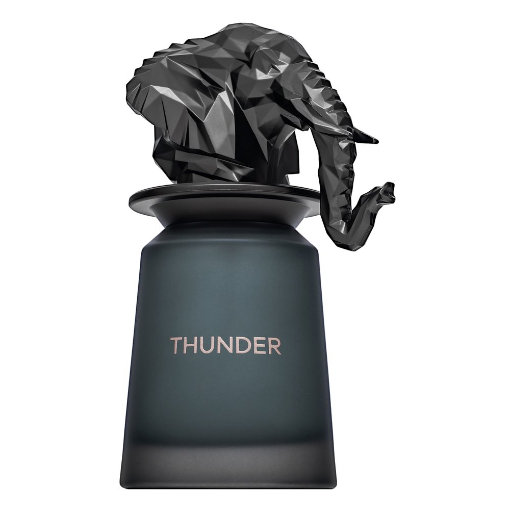 French Avenue Thunder EDP M 100 ml – French Avenue