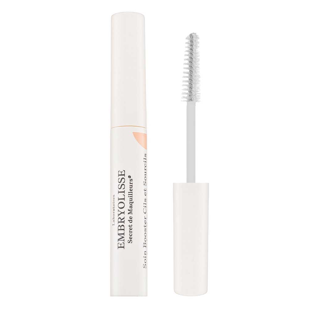 Embryolisse Artist Secret Lashes & Brows Booster 6,5 ml – Embryolisse