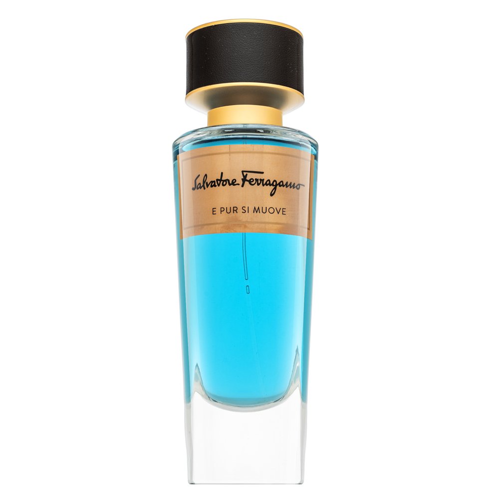 Salvatore Ferragamo E Pur Si Muove EDP U 100 ml – Salvatore Ferragamo