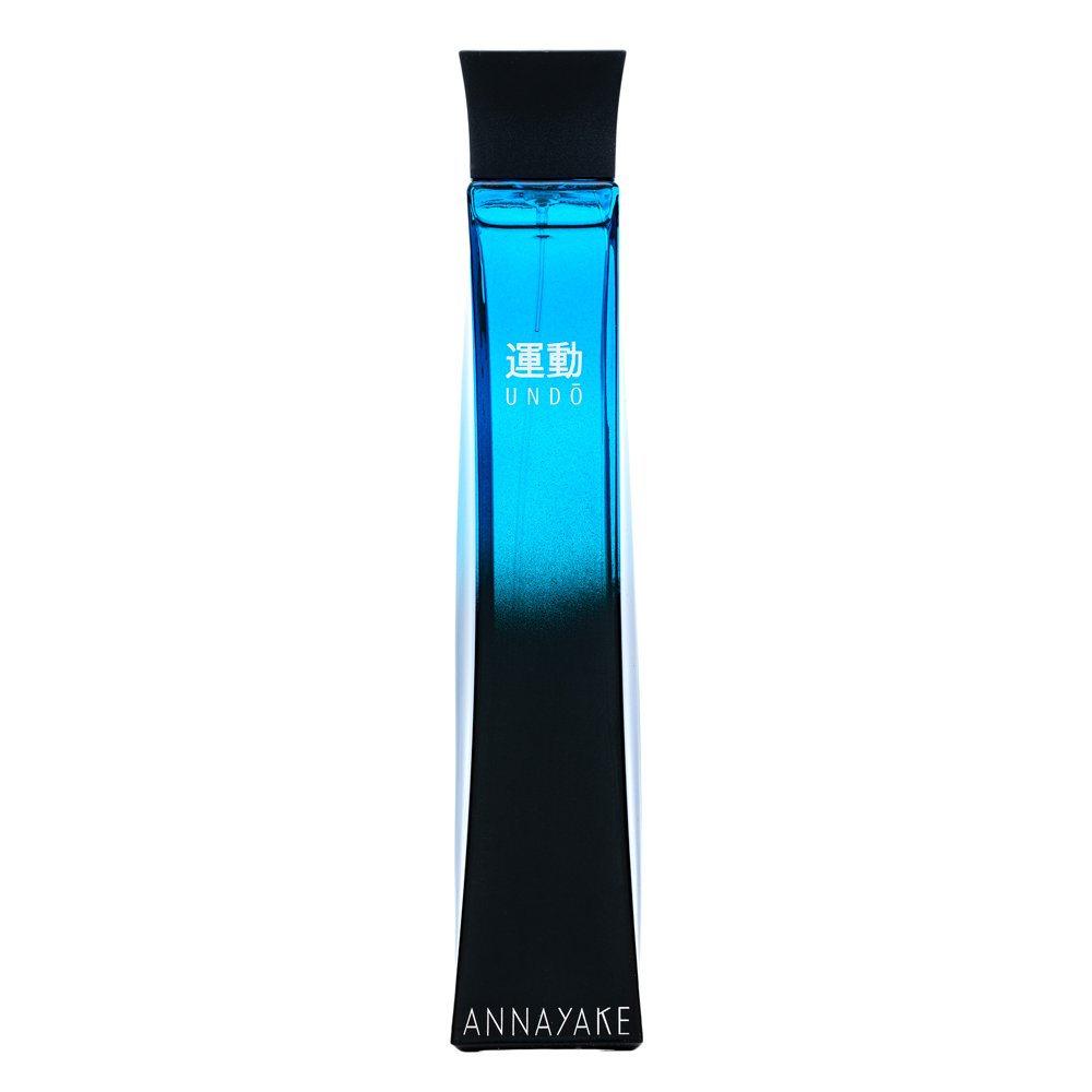 Annayake Undo Pour Homme EDT M 100 ml
