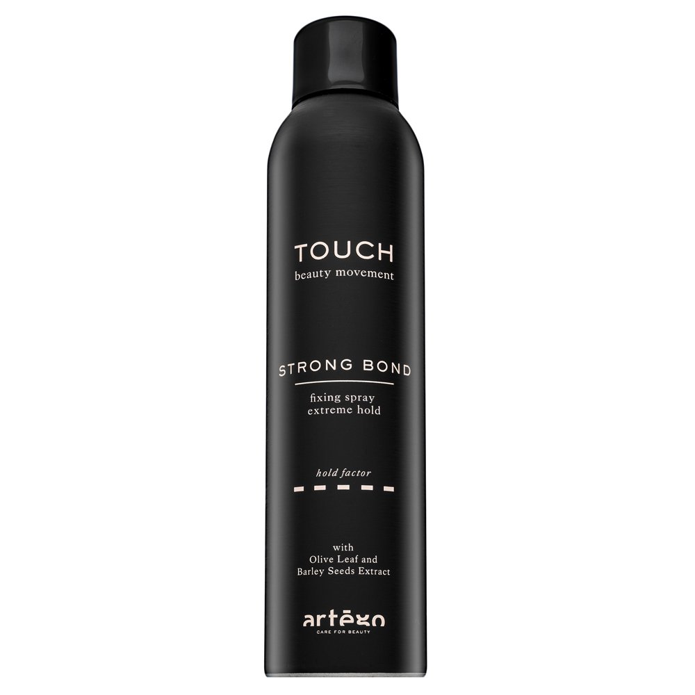 Artègo Touch Strong Bond Fixing Spray 250 ml