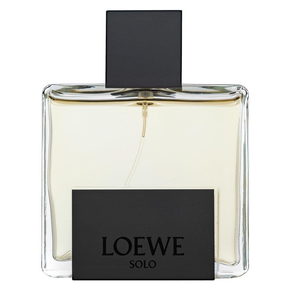 Loewe Solo Loewe Mercurio EDP M 100 ml – Loewe