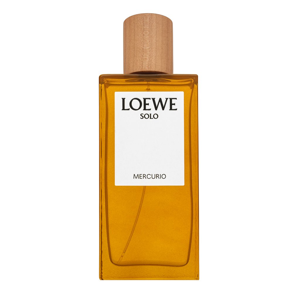 Loewe Solo Mercurio EDP M 100 ml – Loewe