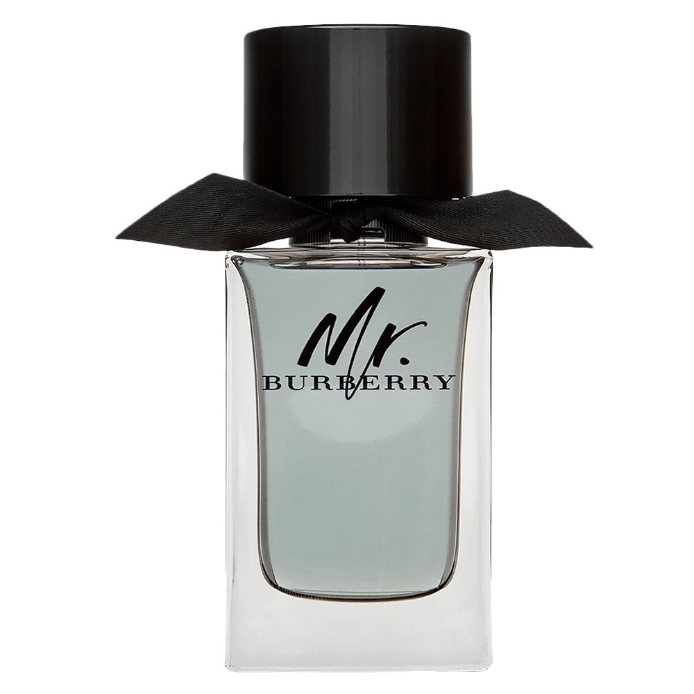 Burberry Mr. Burberry EDT M 100 ml – Burberry