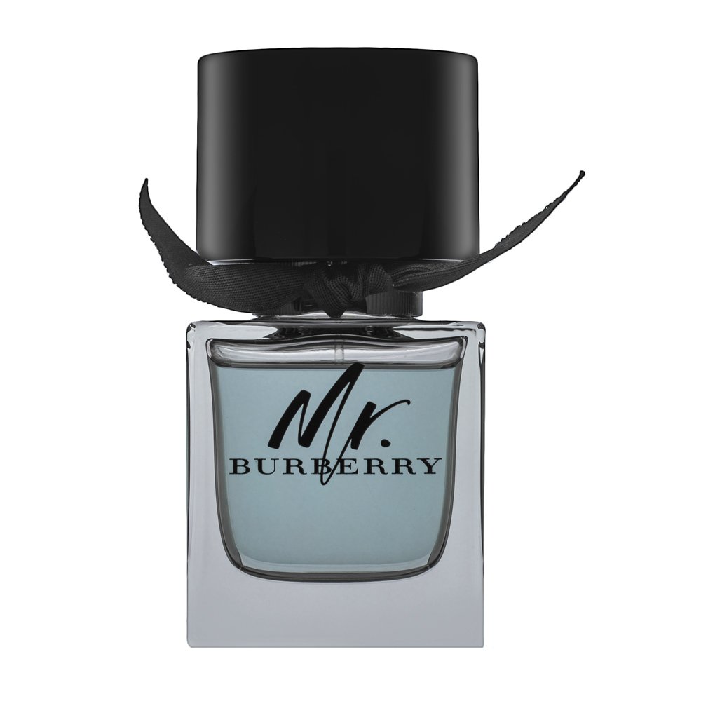 Burberry Mr. Burberry EDT M 50 ml – Burberry