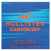 Hollister Canyon Sky For Him Eau de Toilette voor mannen 100 ml