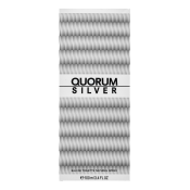 Antonio Puig Quorum Silver Eau de Toilette bărbați 100 ml