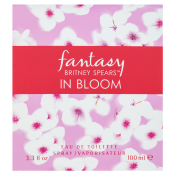Britney Spears Fantasy In Bloom Eau de Toilette für Damen 100 ml