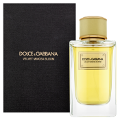 Dolce & Gabbana Velvet Mimosa Bloom parfémovaná voda za žene 150 ml