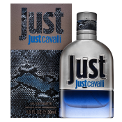 Roberto Cavalli Just Cavalli Him 2013 Eau de Toilette férfiaknak 30 ml