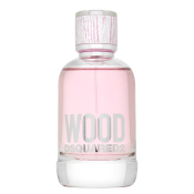 Dsquared2 Wood Eau de Toilette für Damen 100 ml