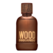 Dsquared2 Wood Eau de Toilette férfiaknak 100 ml