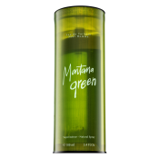 Montana Green toaletní voda pro muže 100 ml