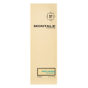 Montale Aoud Lagoon parfémovaná voda unisex 100 ml