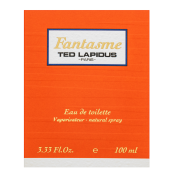 Ted Lapidus Fantasme Eau de Toilette nőknek 100 ml