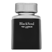 Ted Lapidus Black Soul Eau de Toilette férfiaknak 50 ml