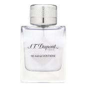 S.T. Dupont 58 Avenue Montaigne Pour Homme Eau de Toilette voor mannen 50 ml