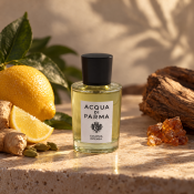 Acqua di Parma Colonia Intensa kolínská voda pro muže 100 ml