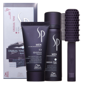 Wella Professionals SP Men Gradual Tone Black nastavite za povrnitev naravne barve las DAMAGE BOX 60 ml