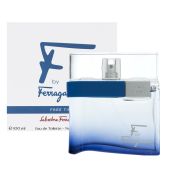 Salvatore Ferragamo F by Ferragamo Free Time Eau de Toilette voor mannen 100 ml