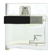 Salvatore Ferragamo F by Ferragamo Pour Homme Eau de Toilette voor mannen 50 ml