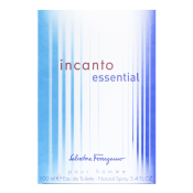 Salvatore Ferragamo Incanto Essential pour Homme toaletna voda za muškarce 100 ml