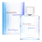 Salvatore Ferragamo Incanto Essential pour Homme toaletna voda za muškarce 100 ml