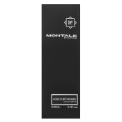 Montale Aoud Cuir d’Arabie parfémovaná voda pro muže 100 ml